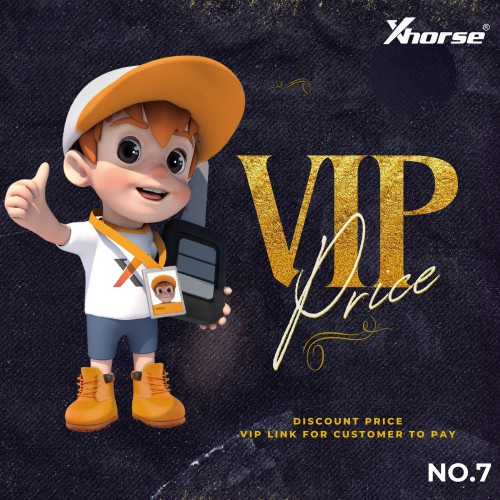 VIP Price 07
